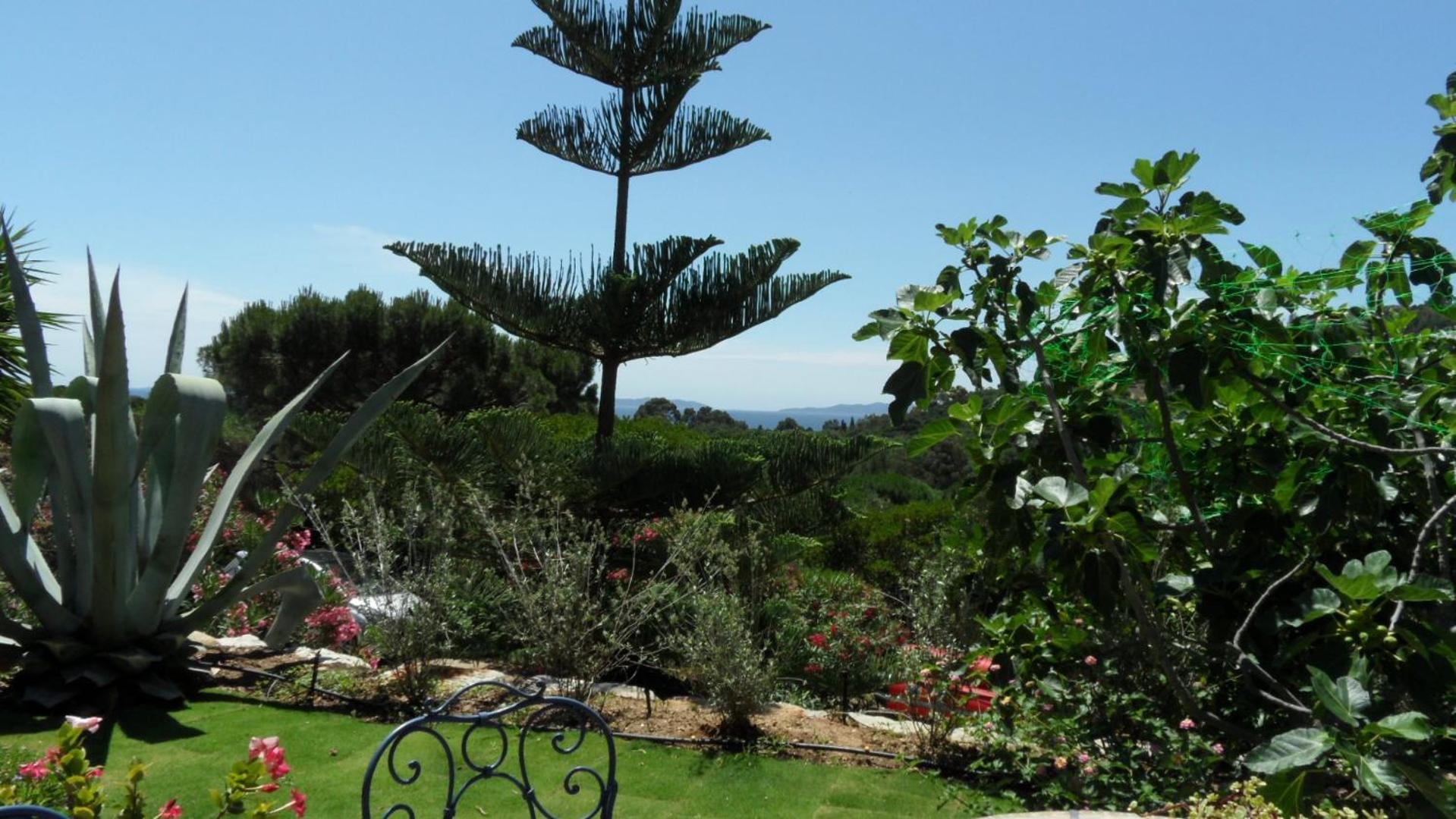 Villa Carpe Diem Le Lavandou Exterior foto